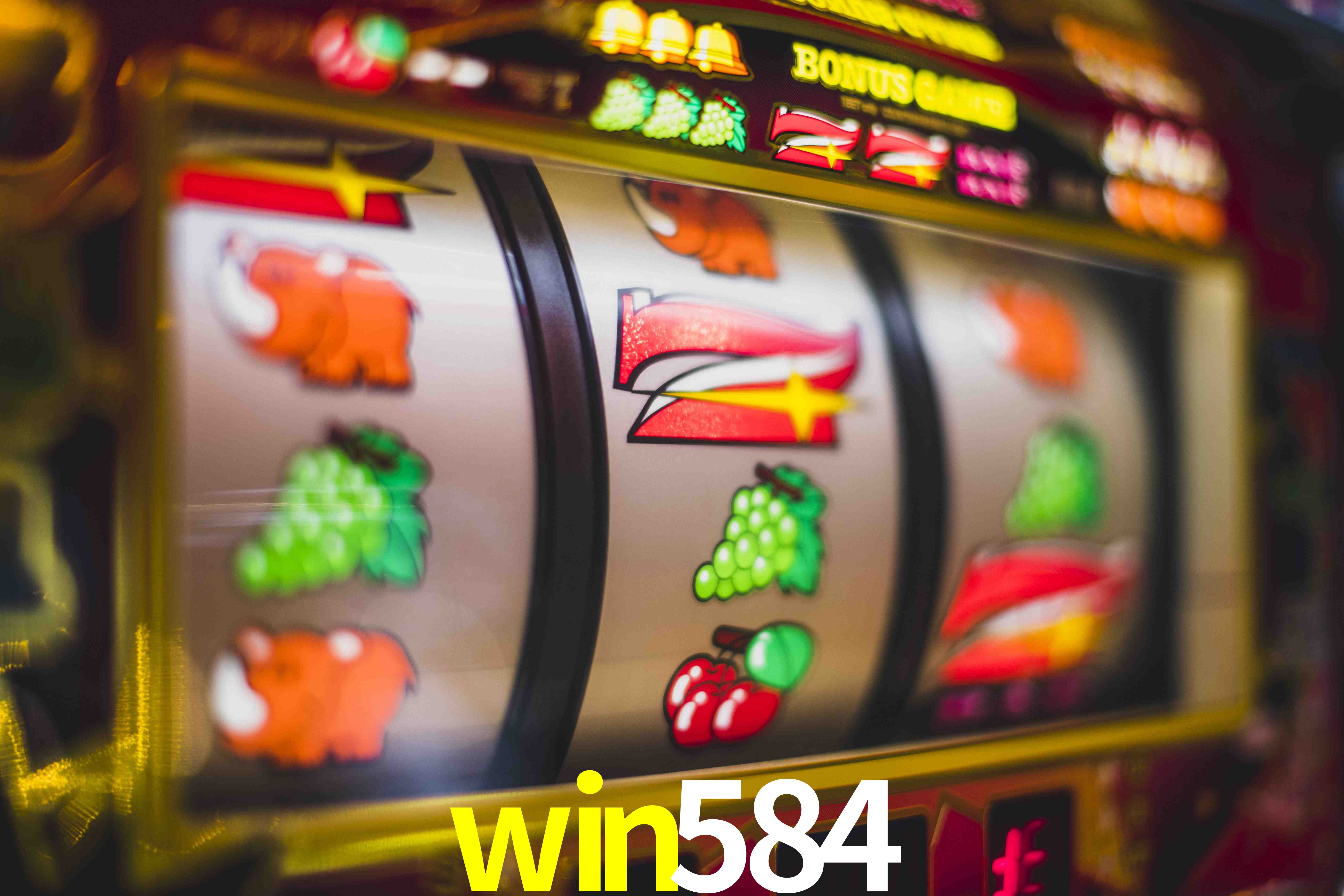Sports Statistics win584